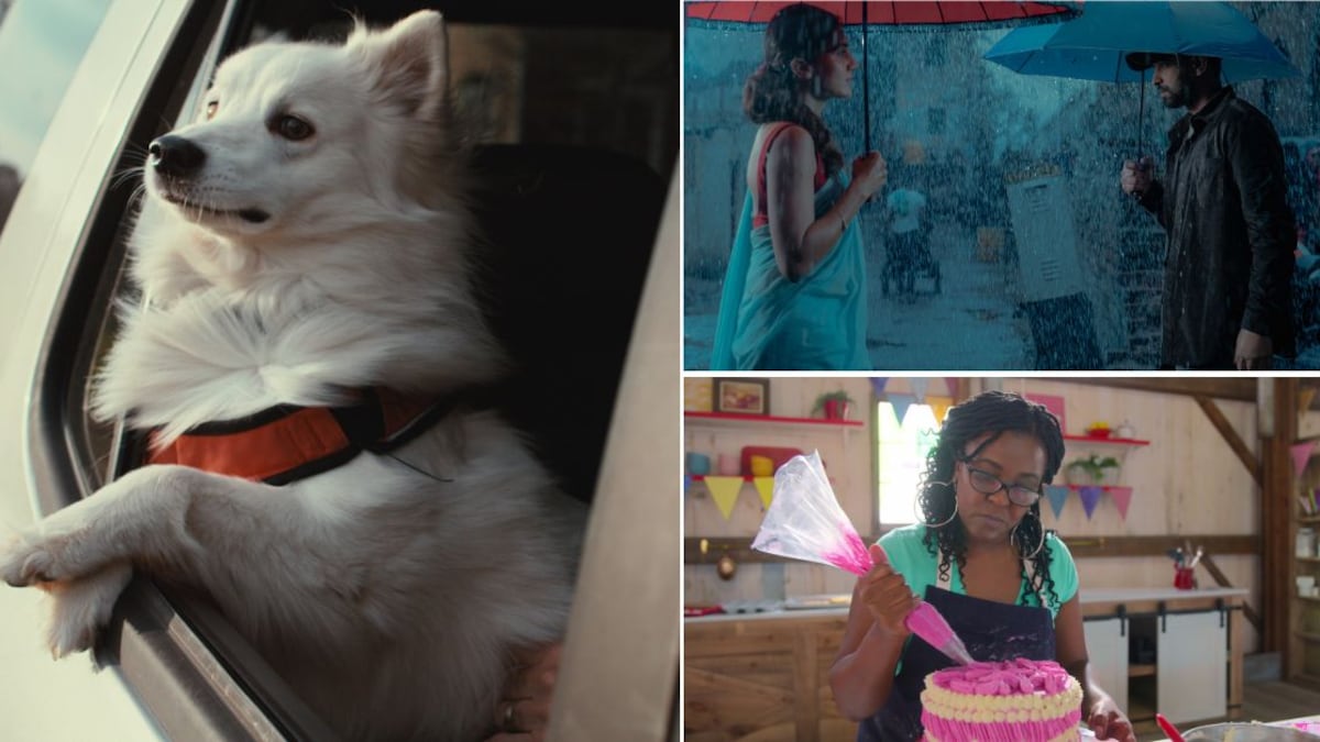 Escenas de En la mente de un perro, La belleza y el enigma vuelven y Blue Ribbon Baking Championship