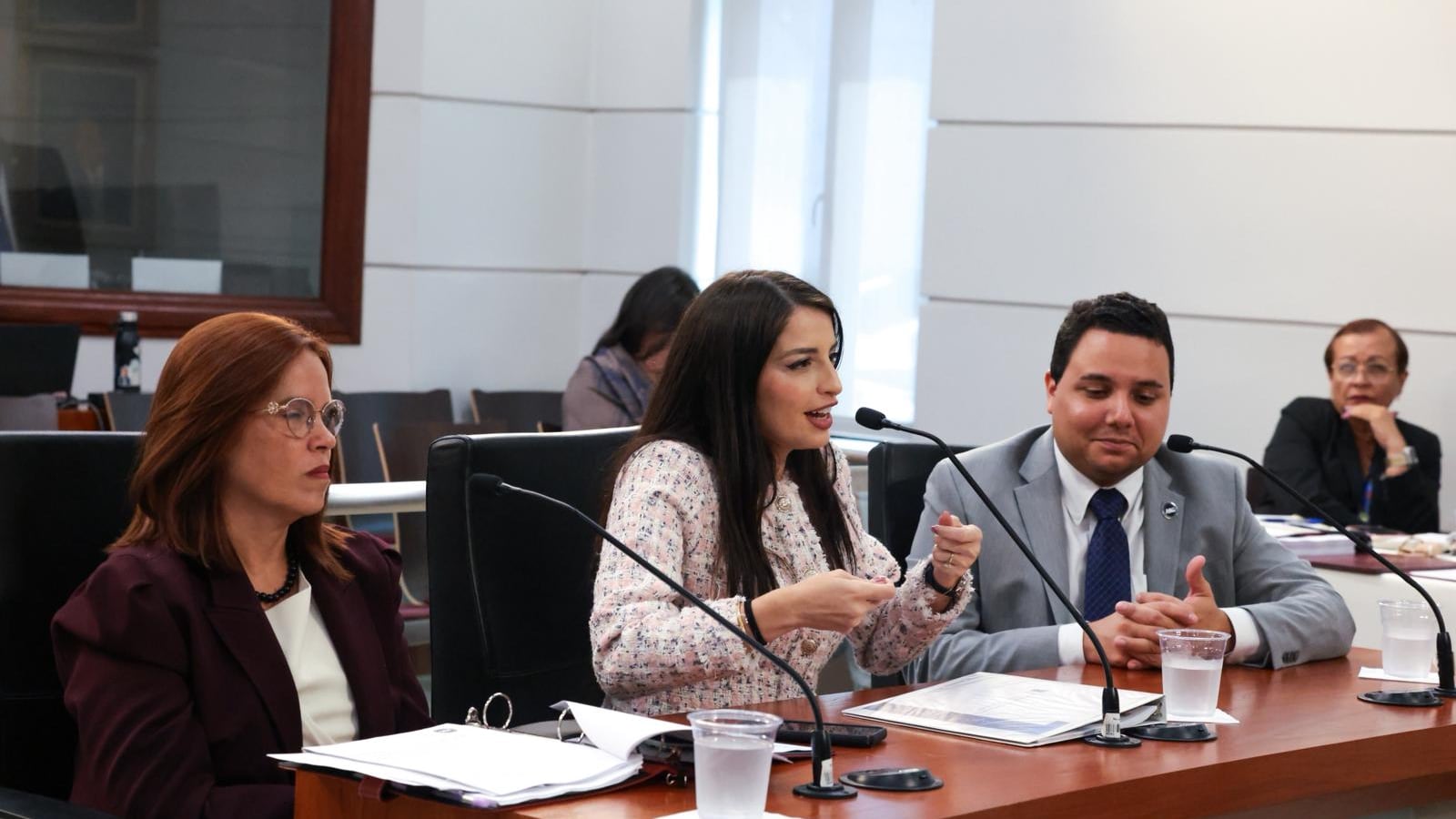 Senado