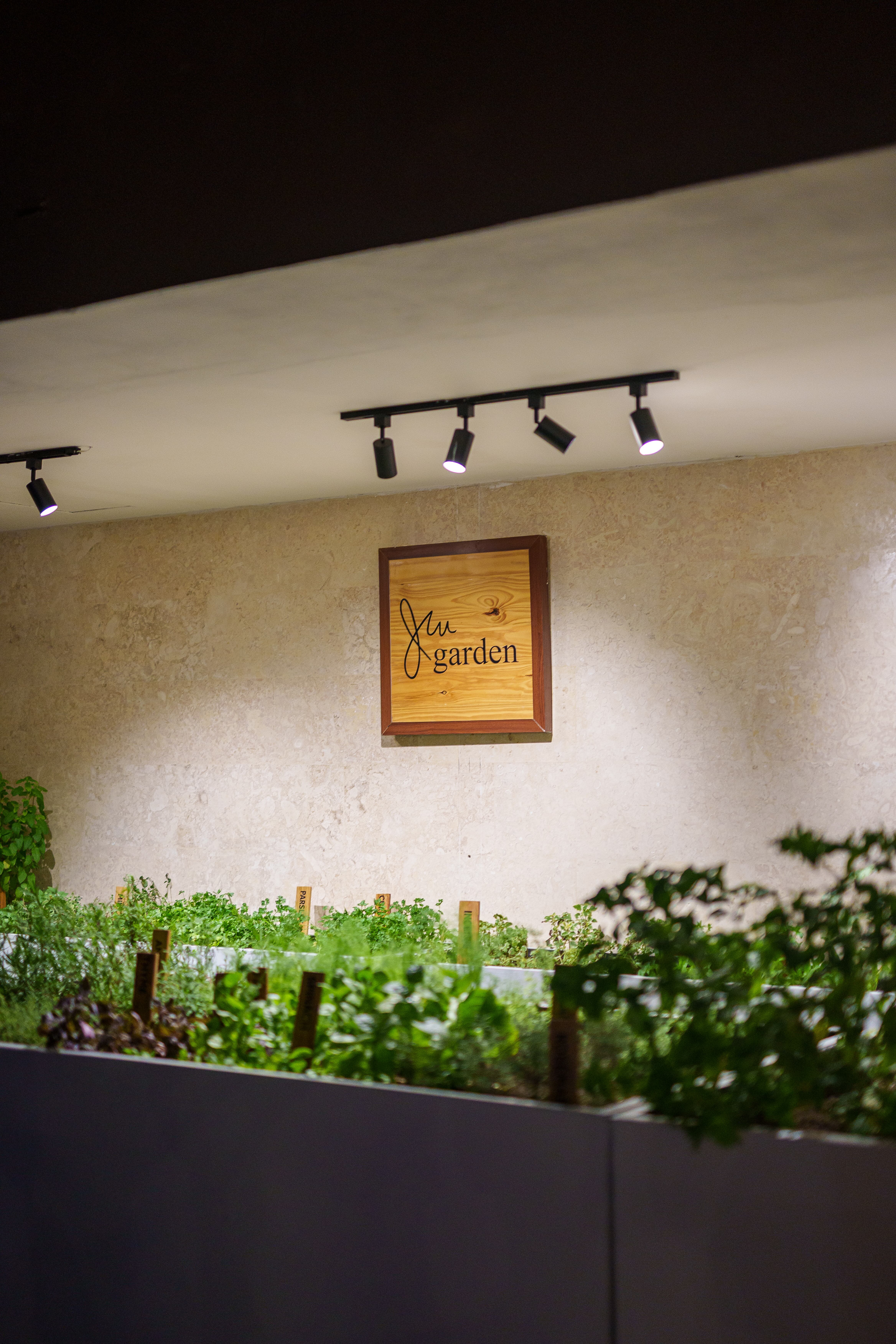 JW Marriott 40th Anniversary Garden Party