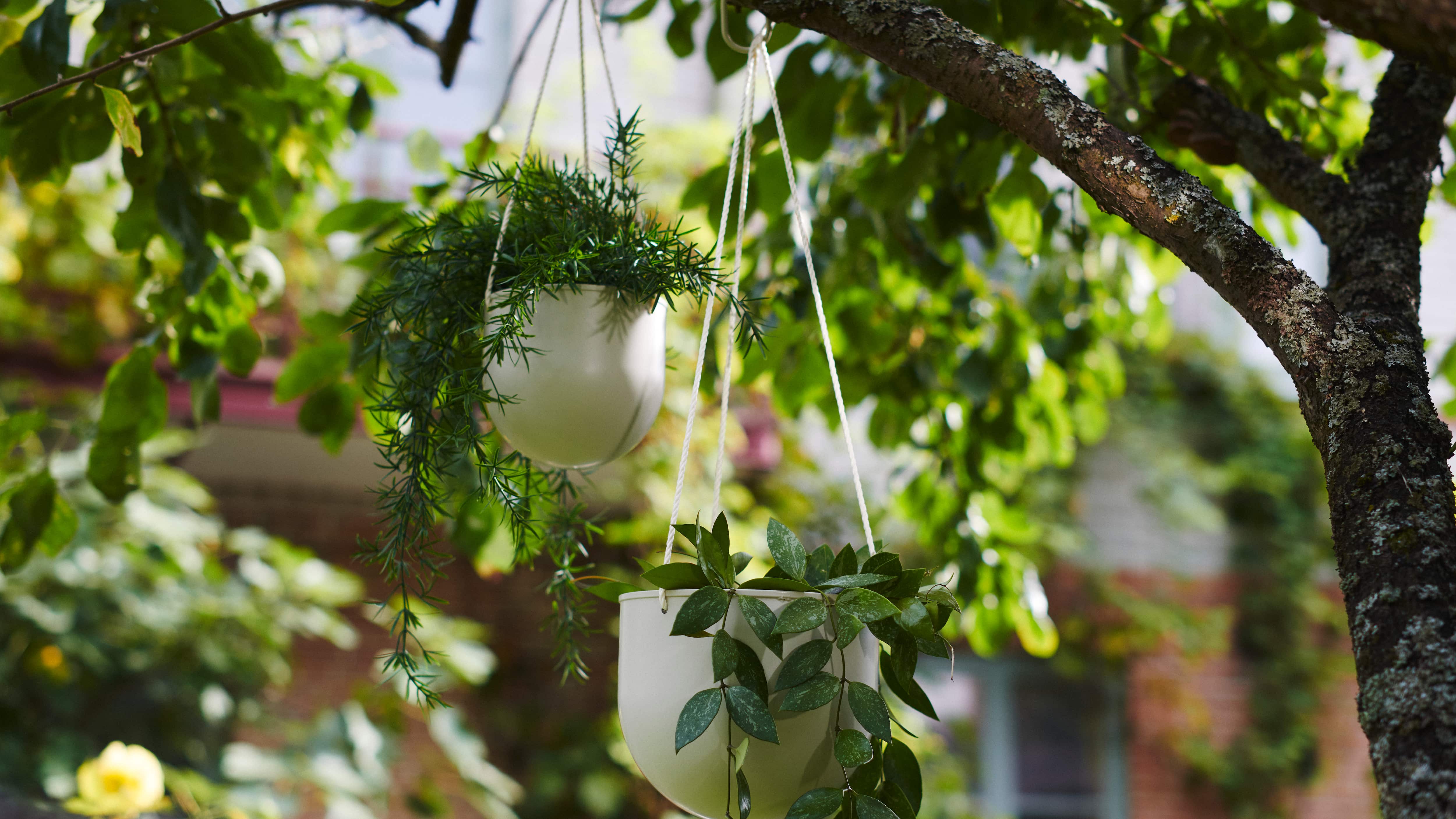 Eleva tu terraza con un jardín vertical, el cual hará de ese rincón un lugar más verde y acogedor