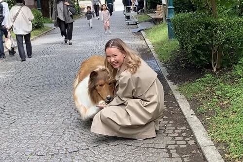 Hombre gasta miles de dólares para convertirse en perro