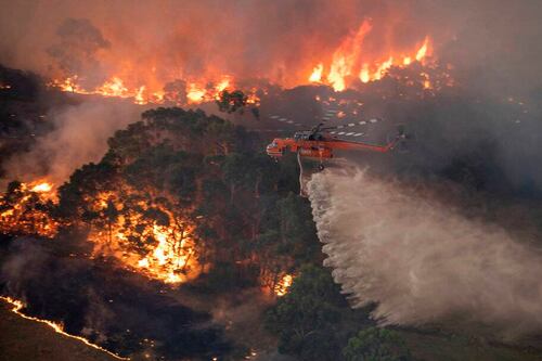 Cambio climático hizo que incendios de Australia fueran más extremos