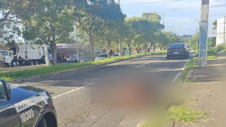 Accidente con equino en la carretera PR-129 de Arecibo.