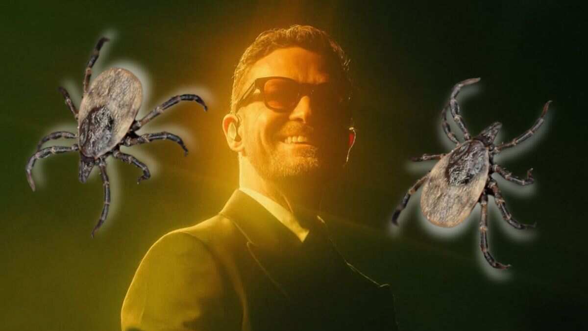 Justin Timberlake: Enfermedad de Lyme; qué es, síntomas, complicaciones y cómo se transmite