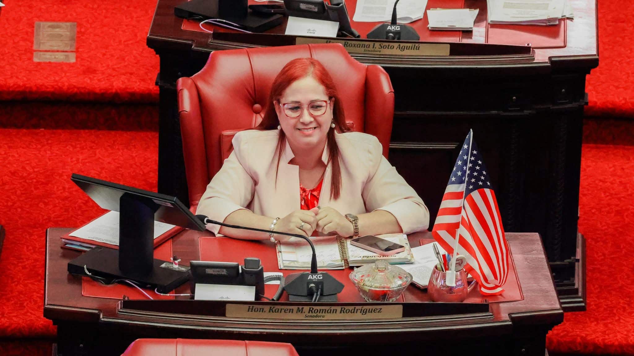 Presentan medida para aumentar créditos contributivos a adultos mayores y pensionados