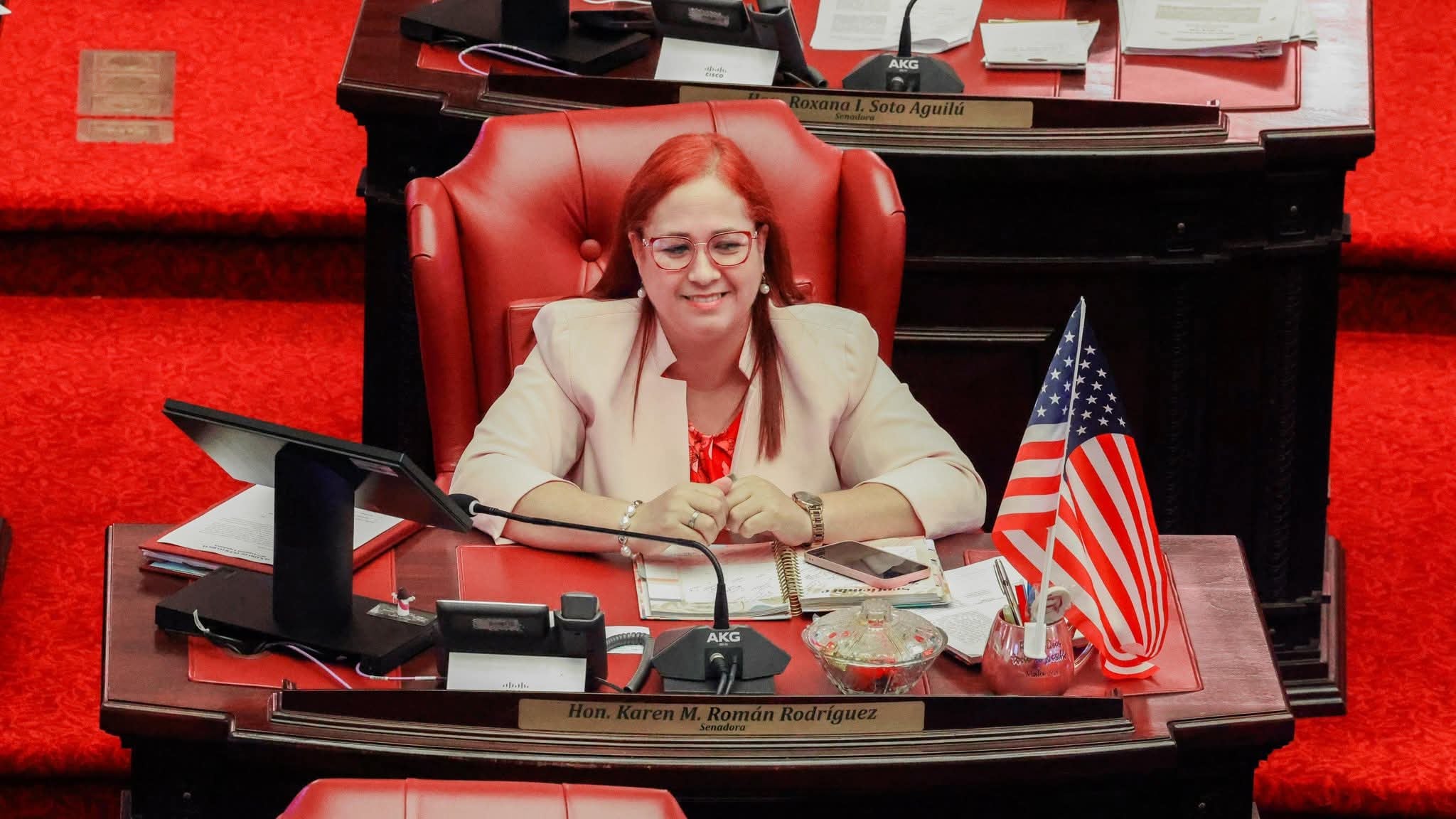 Presentan medida para aumentar créditos contributivos a adultos mayores y pensionados