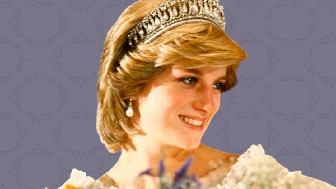 Princess Diana Accredited Access