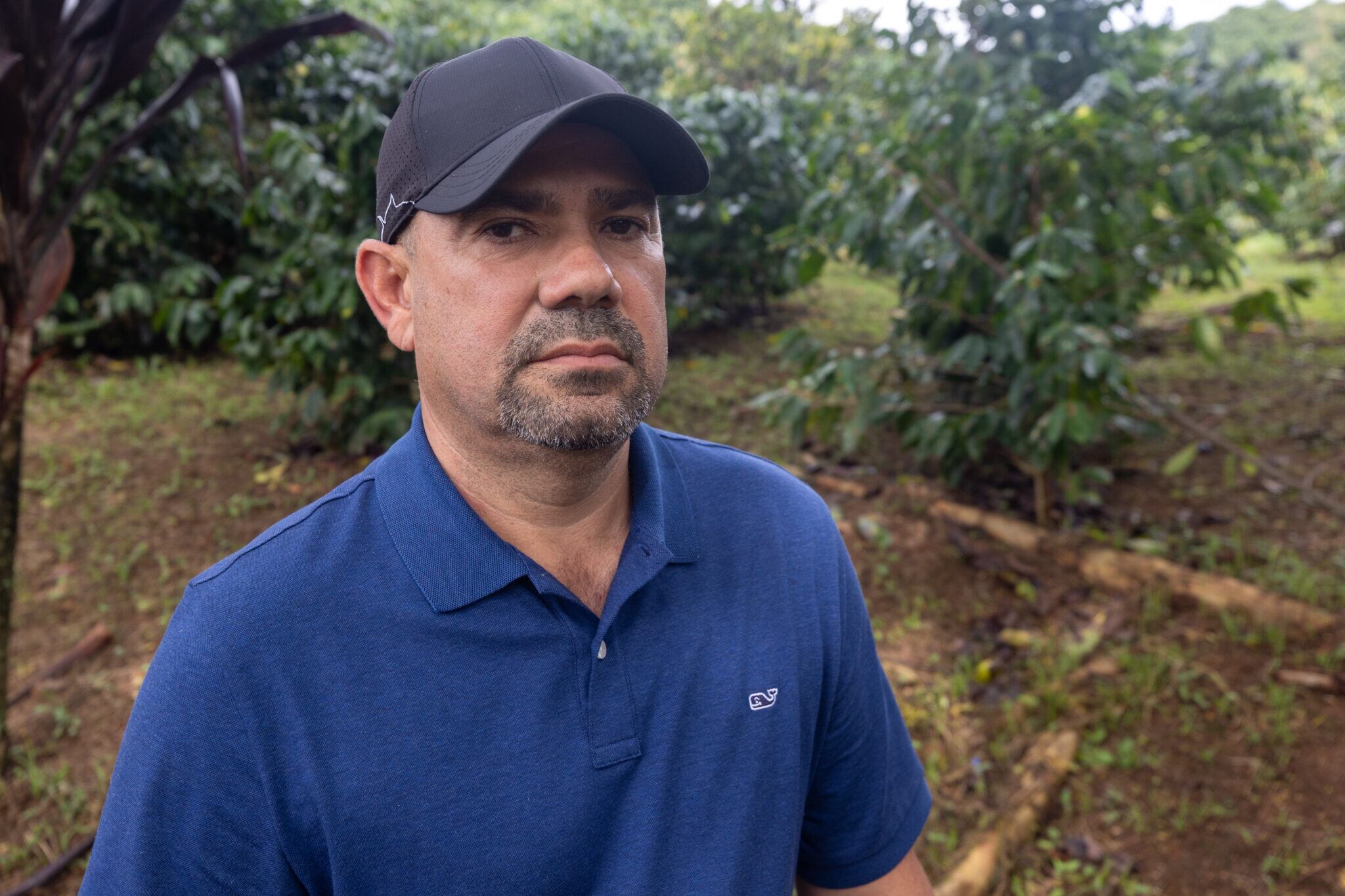 José Luis Torres, propietario de la Hacienda los Eucaliptos, en Lares, espera aumentar la cantidad de obreros extranjeros al traer 18 personas de Colombia para recoger café en sus 115 cuerdas de terreno.