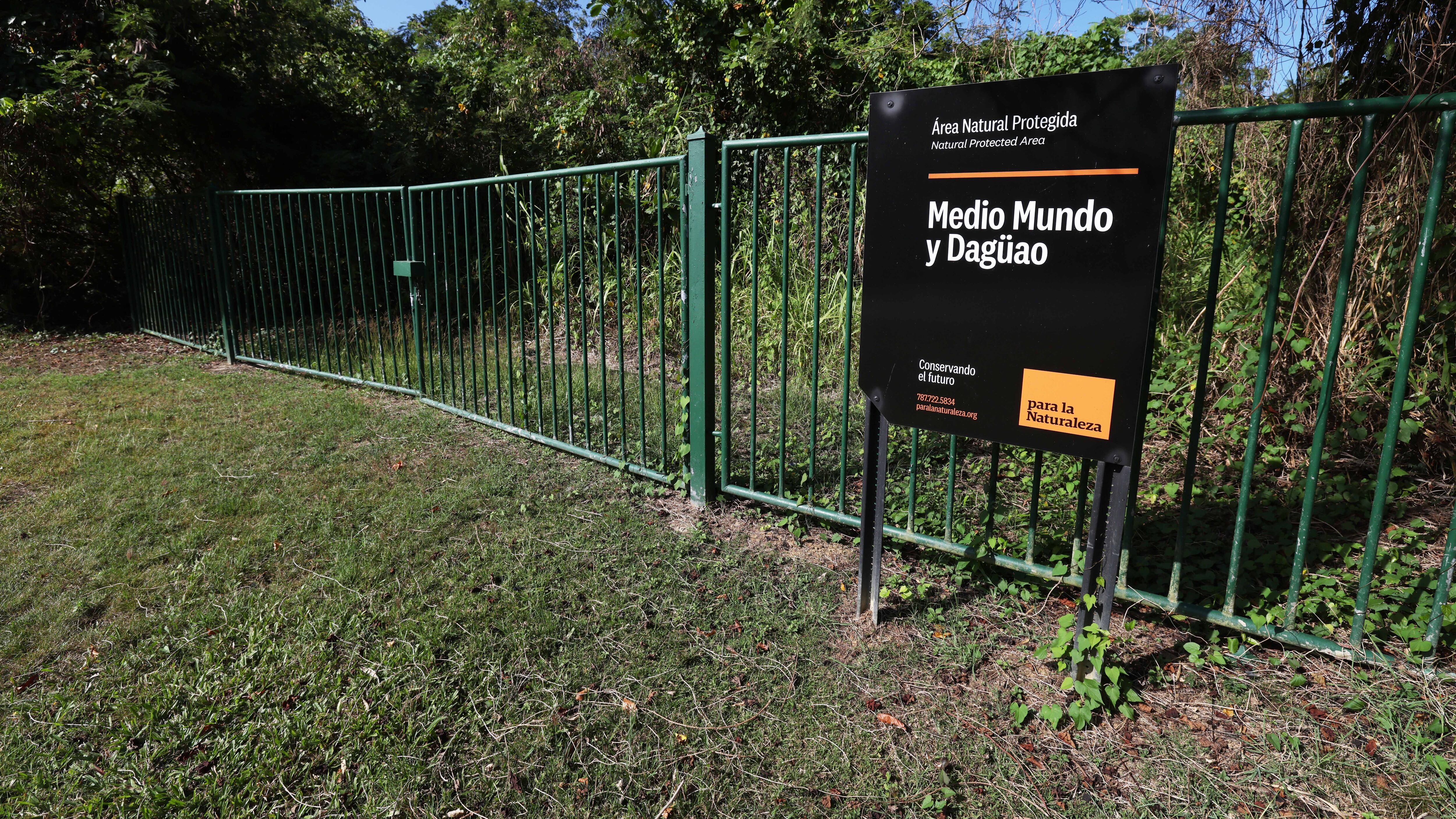 Si se lleva a cabo la propuesta, 66 cuerdas de terreno de Punta Medio Mundo, y potencialmente otras parcelas de la zona, serán utilizadas como instalaciones para lanzar cohetes al espacio.
Brandon Cruz González | Centro de Periodismo Investigativo