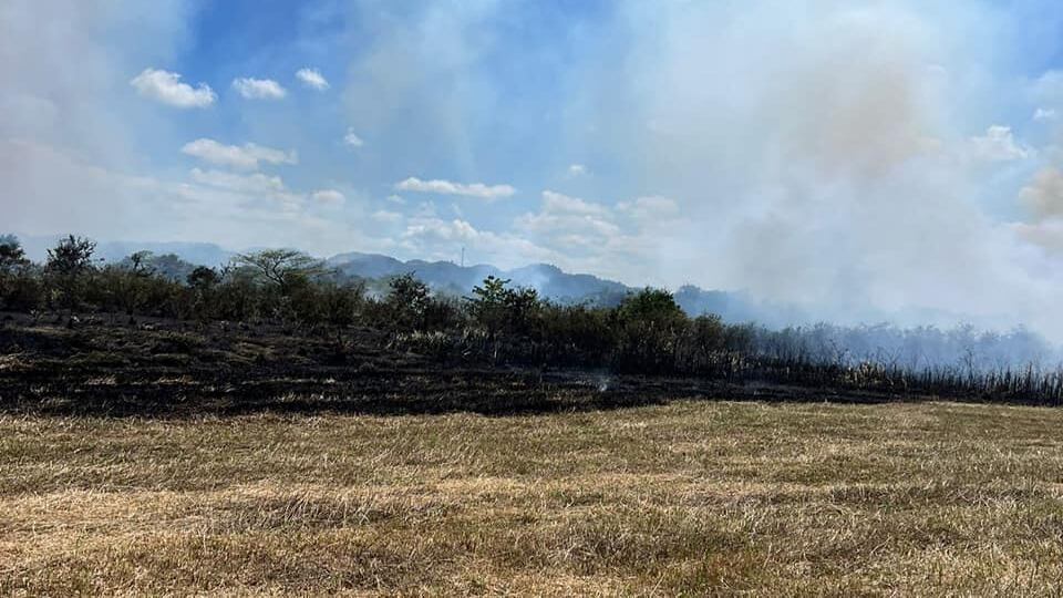 fuego forestal en Barceloneta