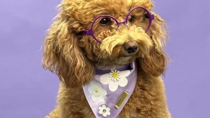 Miss Bali Vallejo Rodríguez