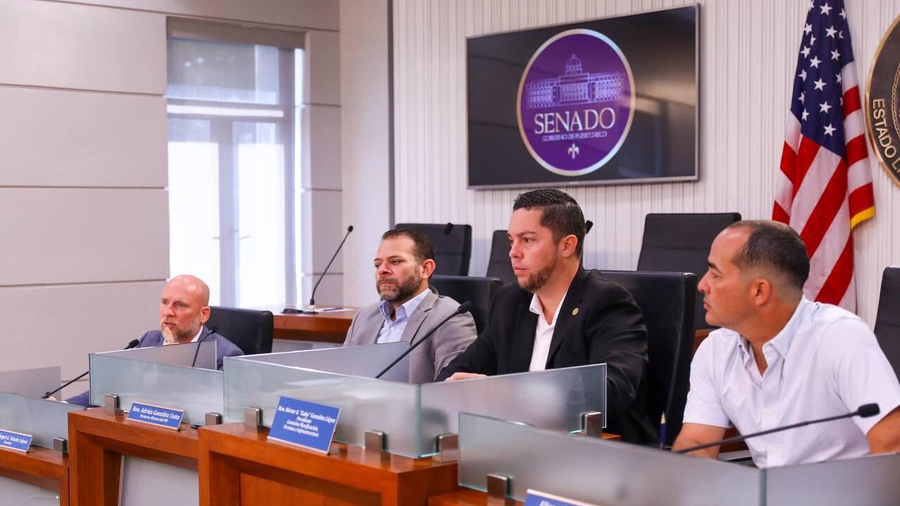 Comisión de Planificación, Permisos, Infraestructura y Urbanismo