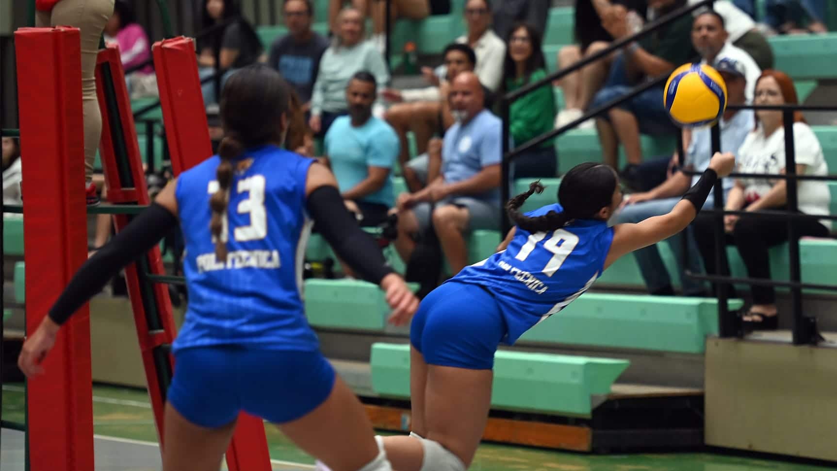 Este fin de semana se definen los equipos de la postemporada.