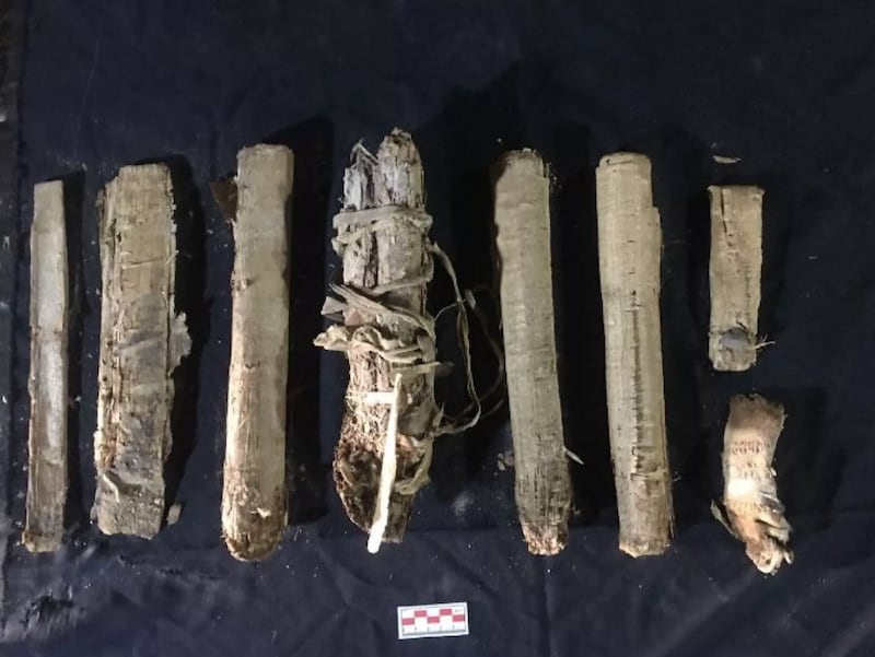 Ministerio de Antigüedades y Turismo de Egipto