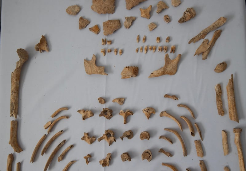 Arqueólogos buscan en República Dominicana a Enriquillo