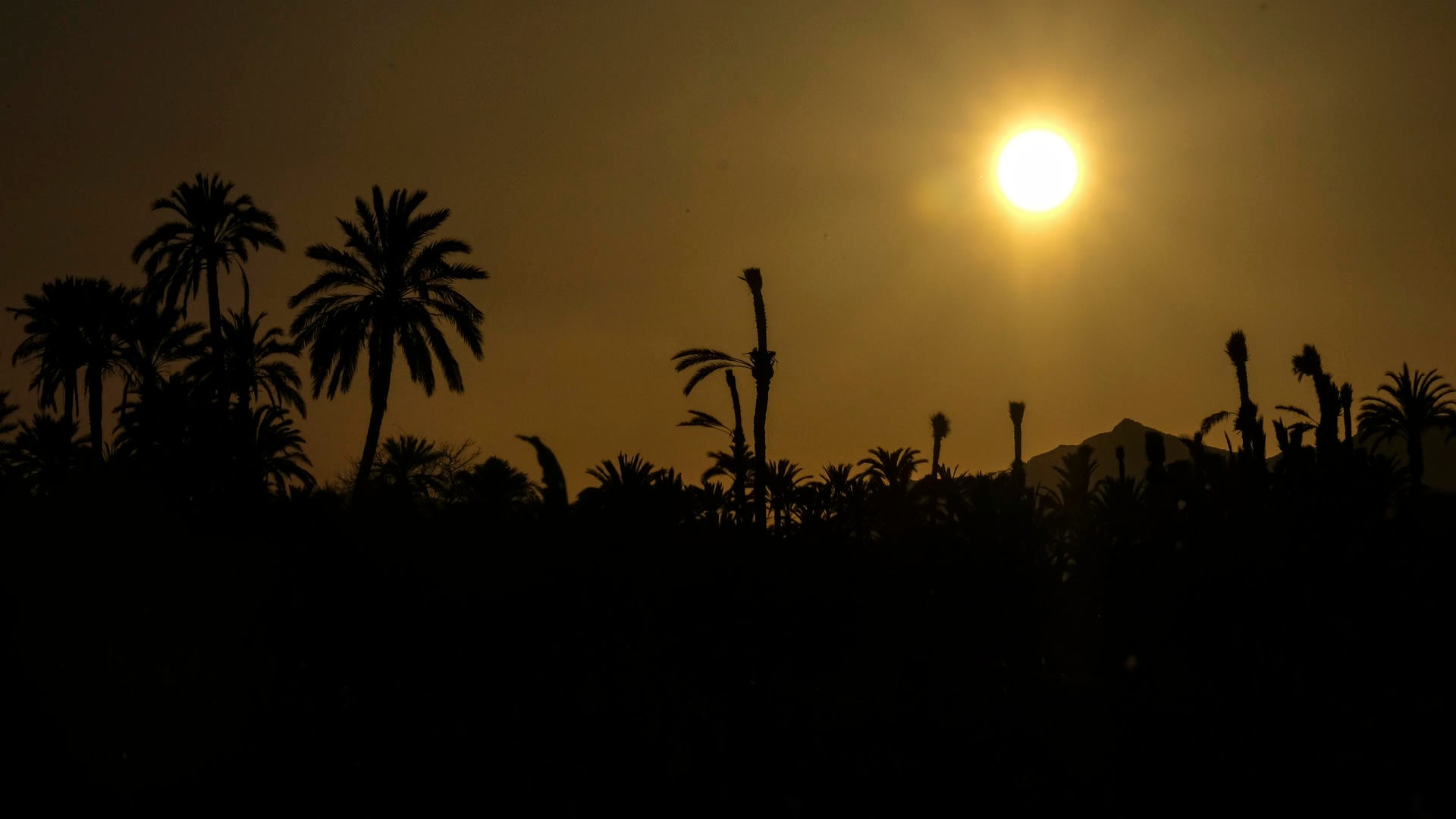 El calentamiento del planeta se ha acelerado notablemente en la última década