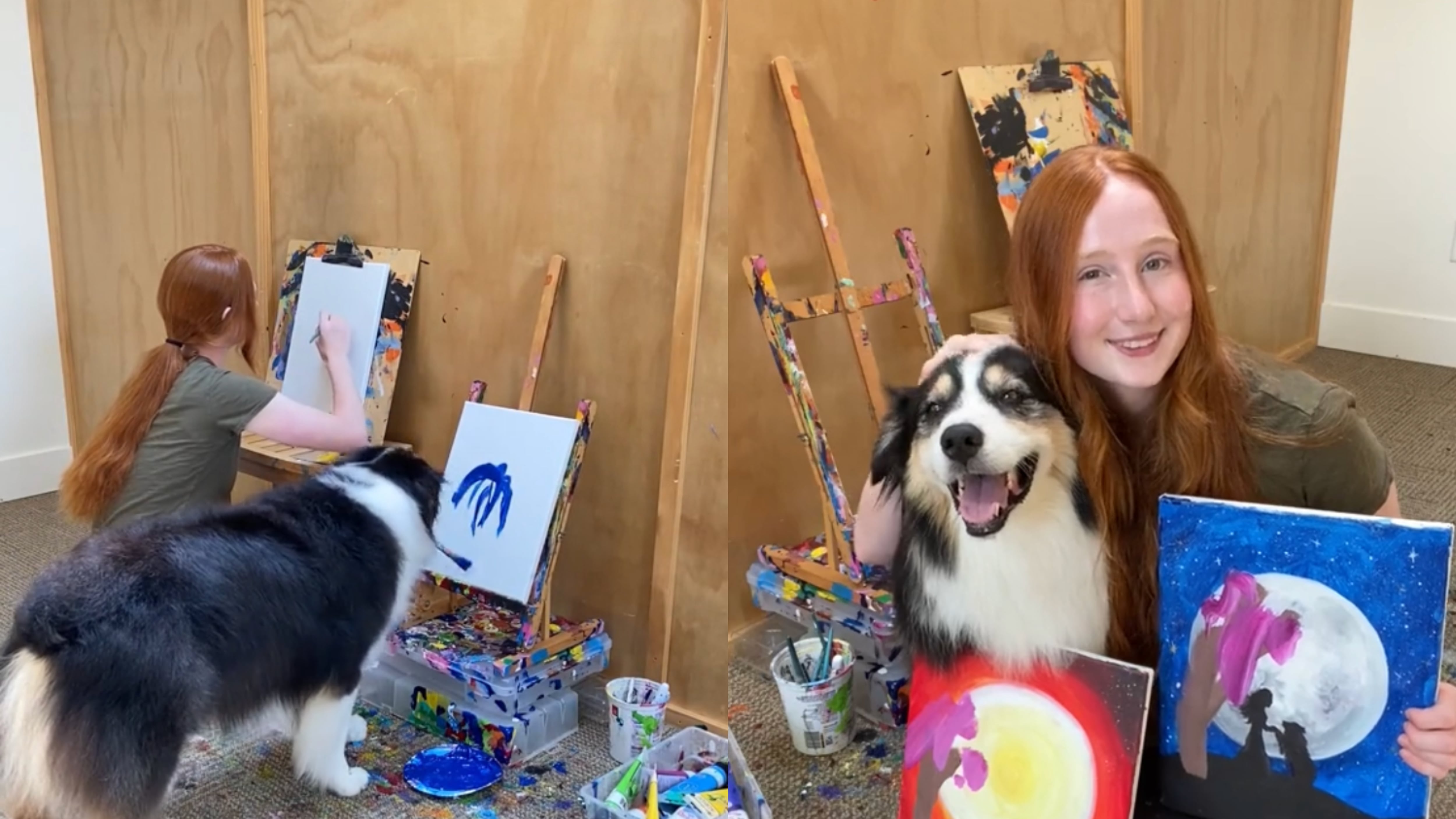 Perro sorprende por sus habilidades para pintar cuadros.