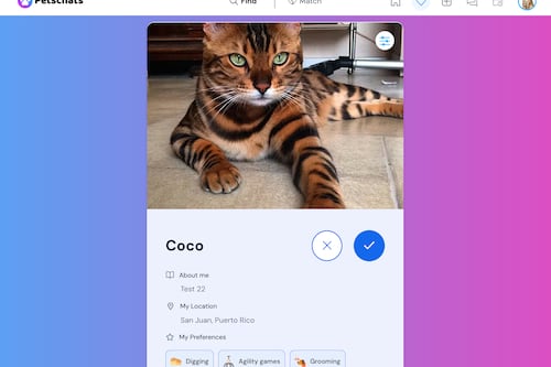 Lanzan aplicación para buscarle pareja a las mascotas