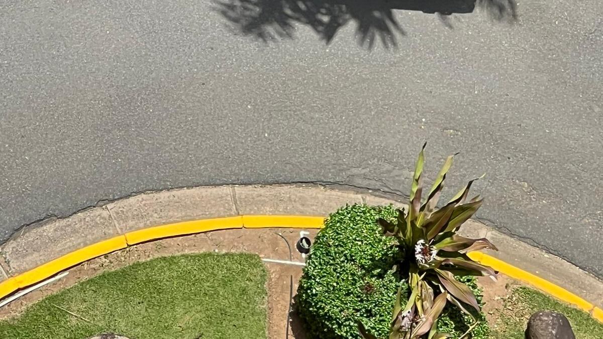 Allanamiento en apartamento de empleado del DE