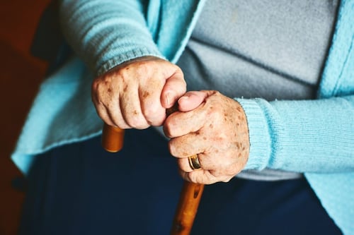 Proponen penalizar amenazas o maltrato a mascotas para manipular a envejecientes