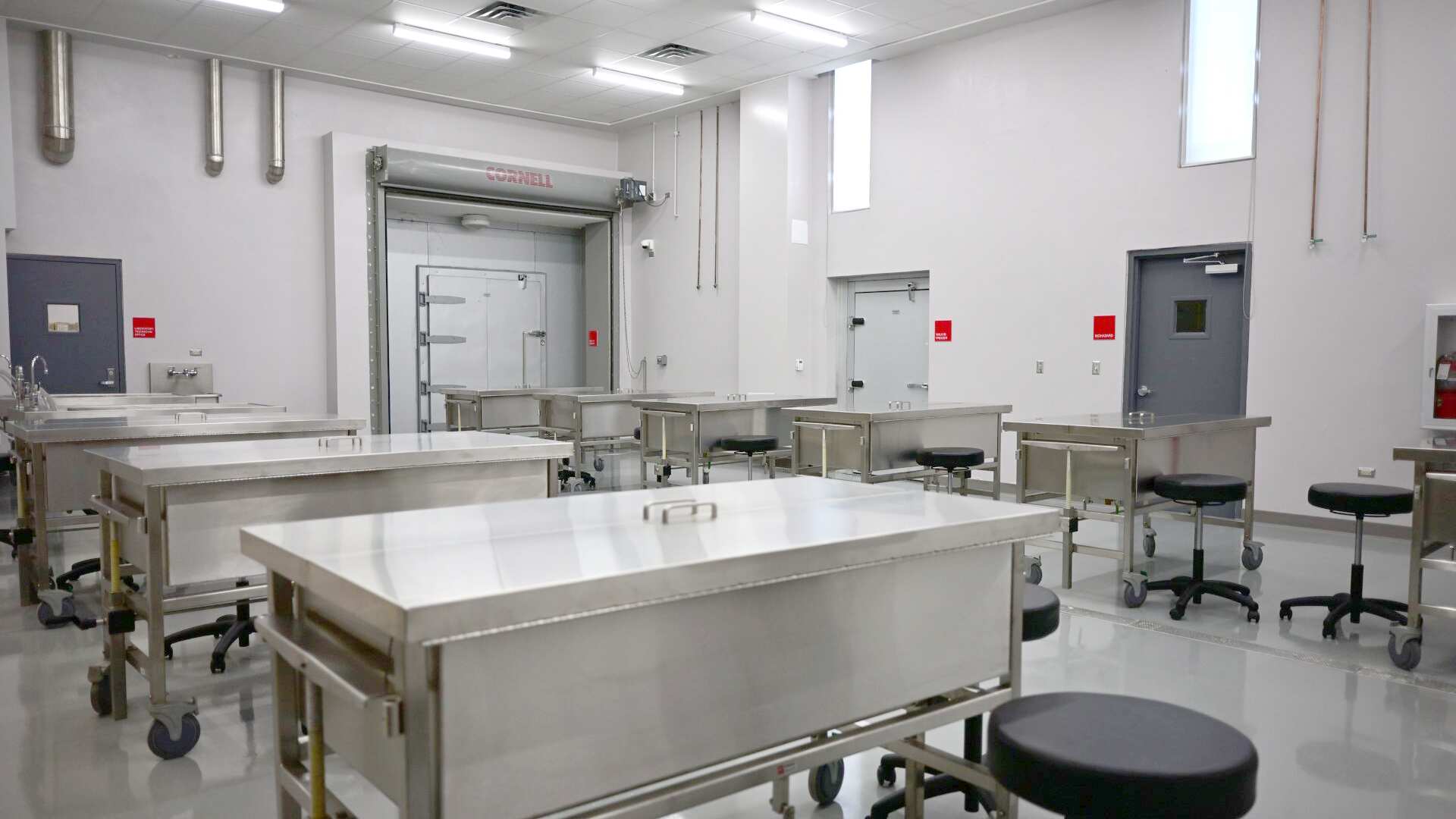 Anuncian nuevo programa doctoral en Medicina Veterinaria en Puerto Rico.