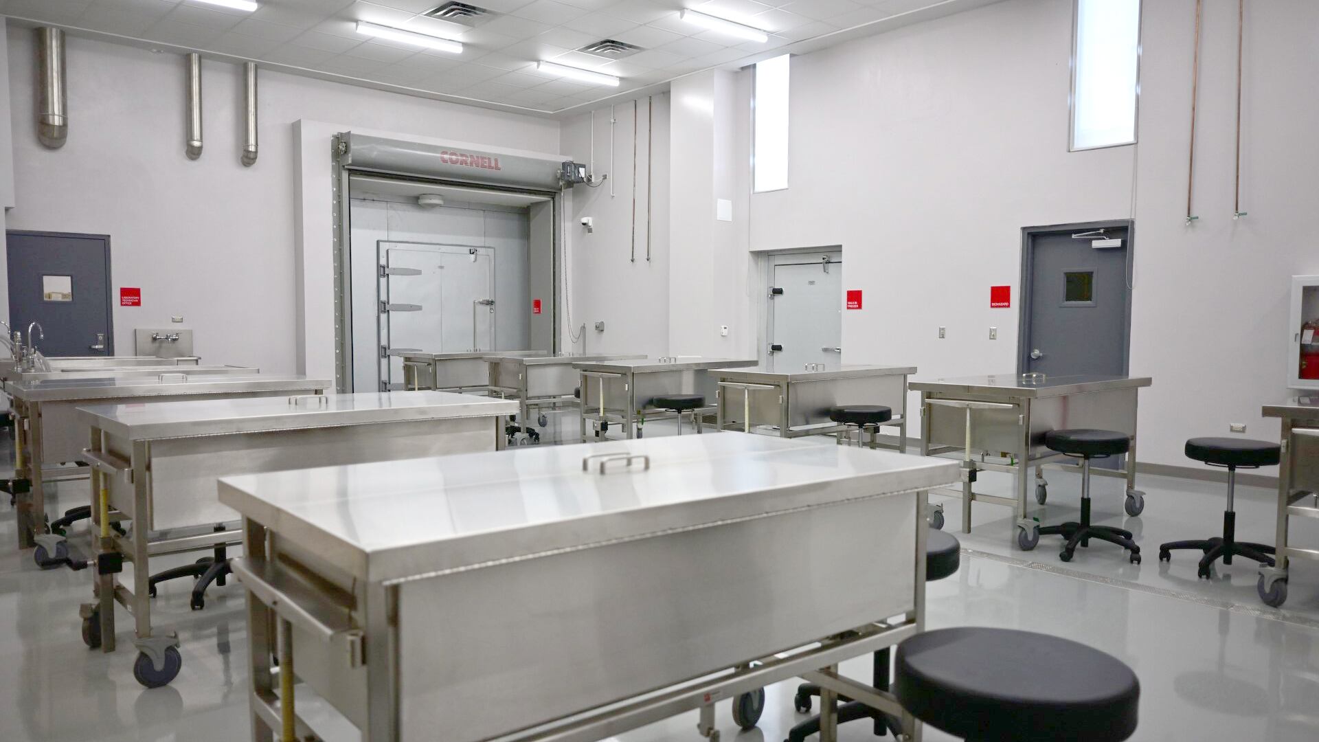 Anuncian nuevo programa doctoral en Medicina Veterinaria en Puerto Rico.