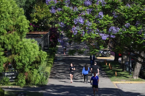 Cinco minutos más de actividad física reducen un 10% el riesgo de mortalidad