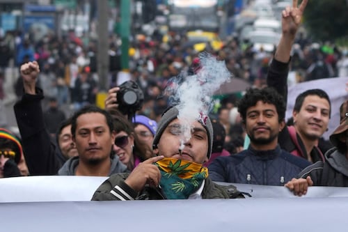 Jóvenes aumentarían su consumo de marihuana si “suavizan” las normas actuales