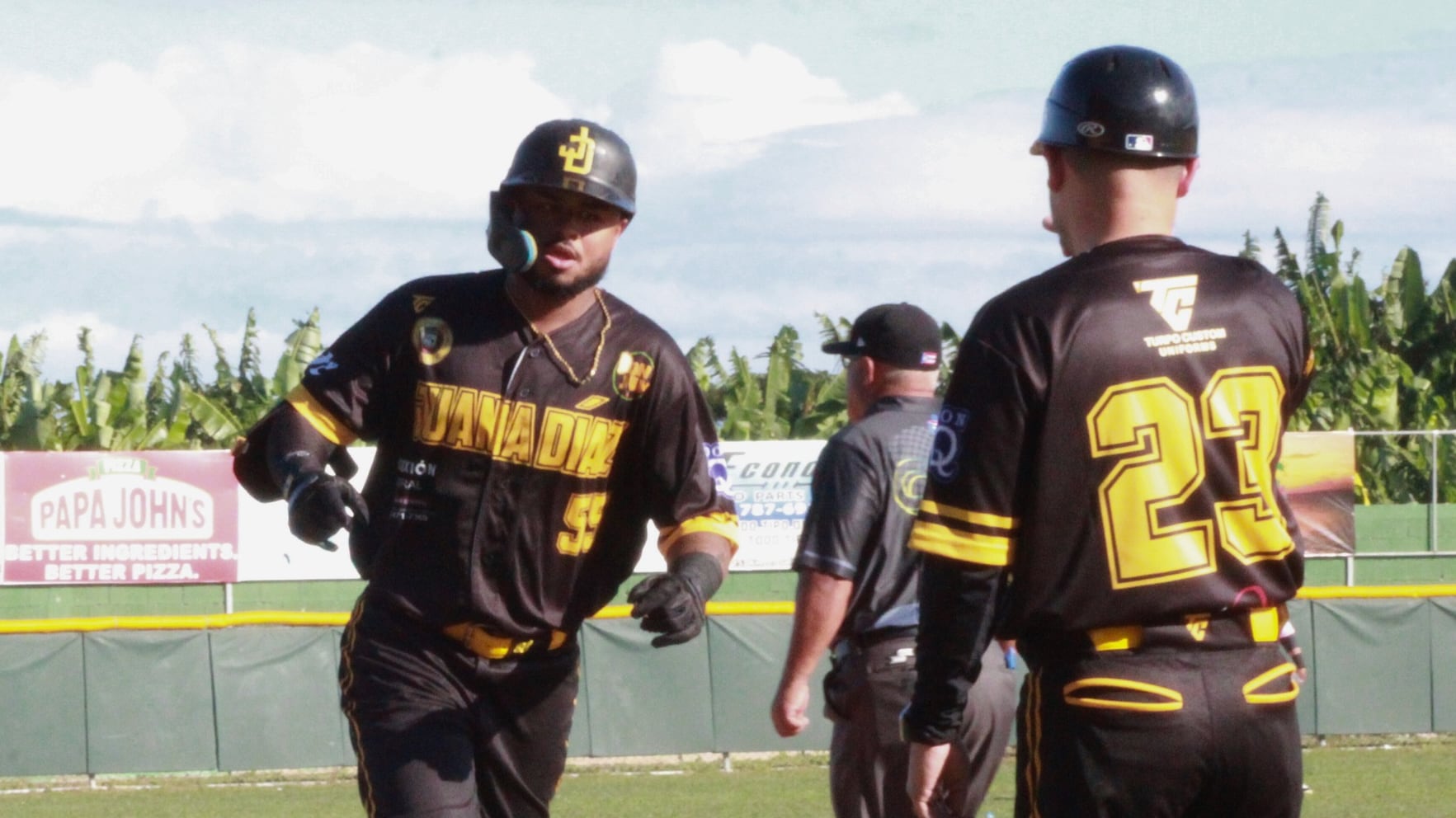 Brian Cruz sacudió dos jonrones por Juana Díaz.