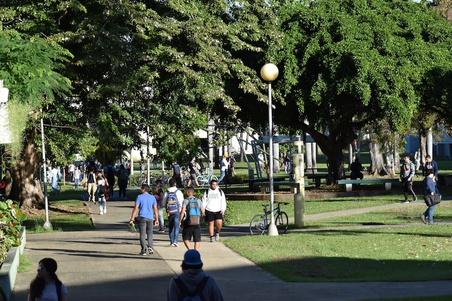 Candela en la UPR: Mayagüez también se va en paro