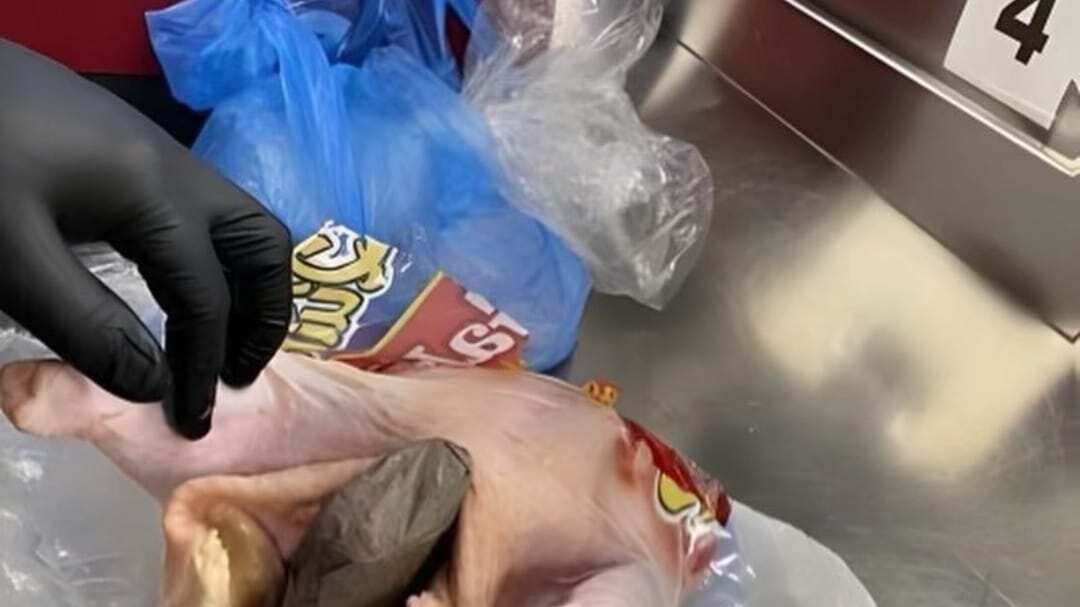 Colocan arma en el interior de un pollo como parte de un equipaje.