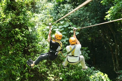 Tragedia en Laos: Dos estadounidenses mueren tras ataque de avispas mientras practicaban tirolesa