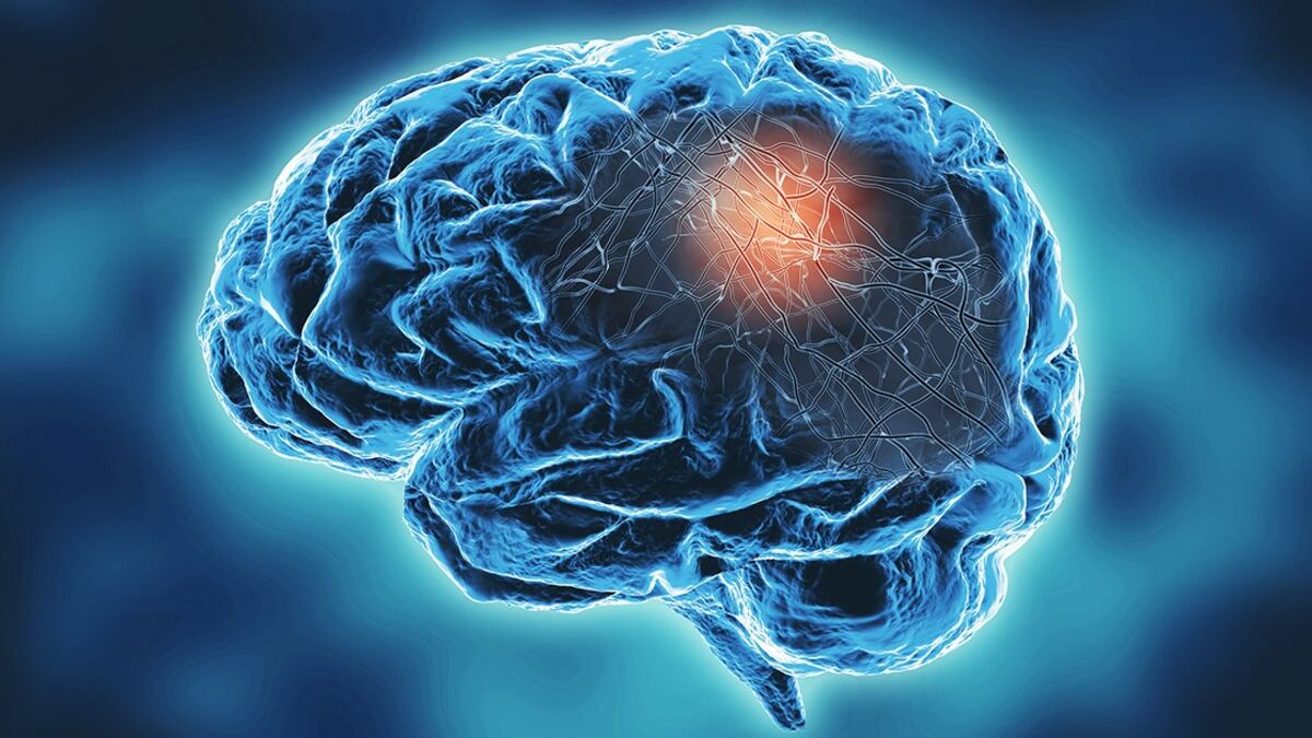 En los primeros ocho meses del año se registraron en Nuevo León 88 nuevos pacientes, lo que representa un incremento del 18.9% respecto a 2024.