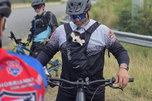 Ciclistas rescatan a perrito desamparado en Guayama