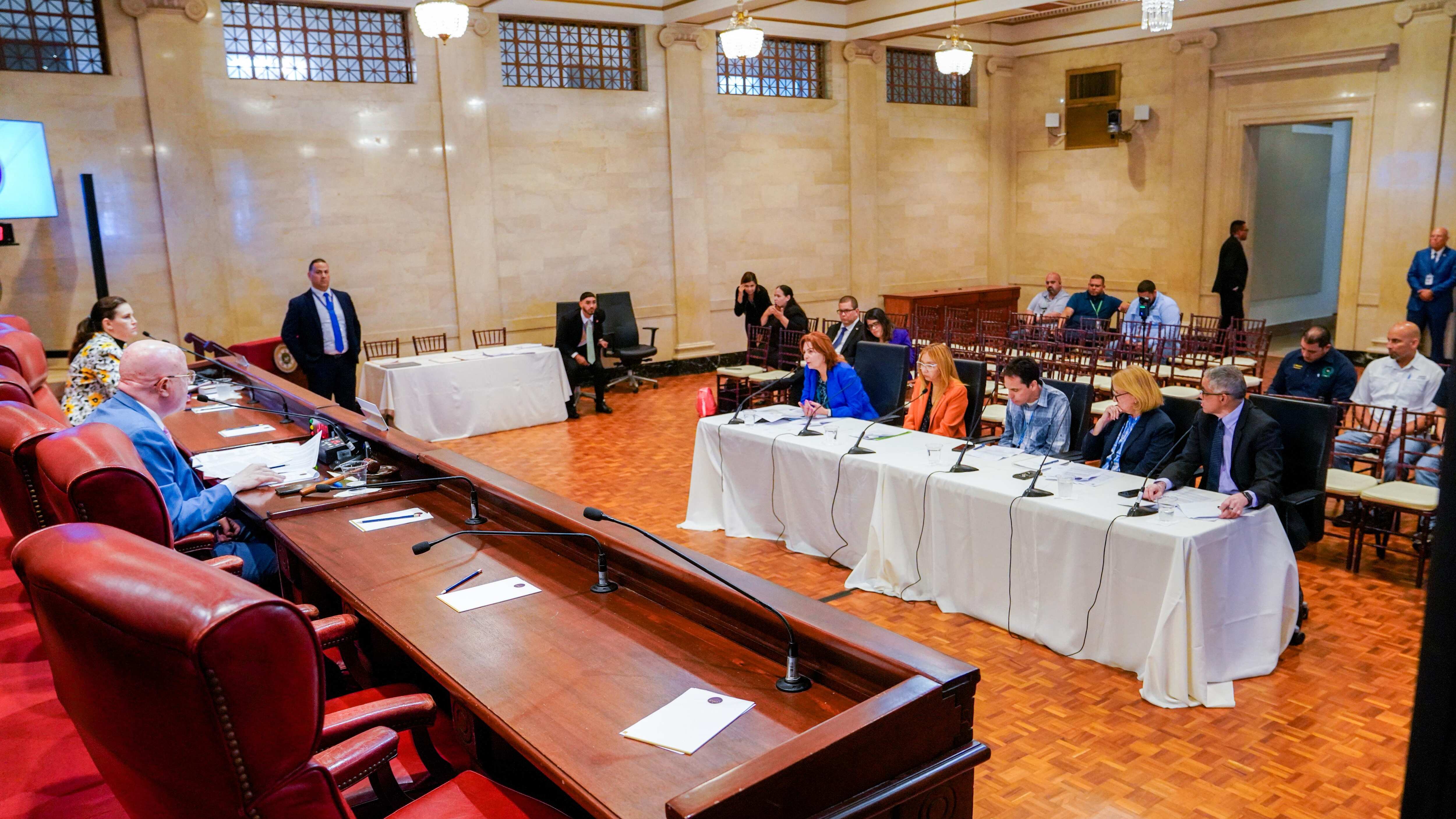 Comisión de Seguridad Pública y Asuntos del Veterano del Senado de Puerto Rico