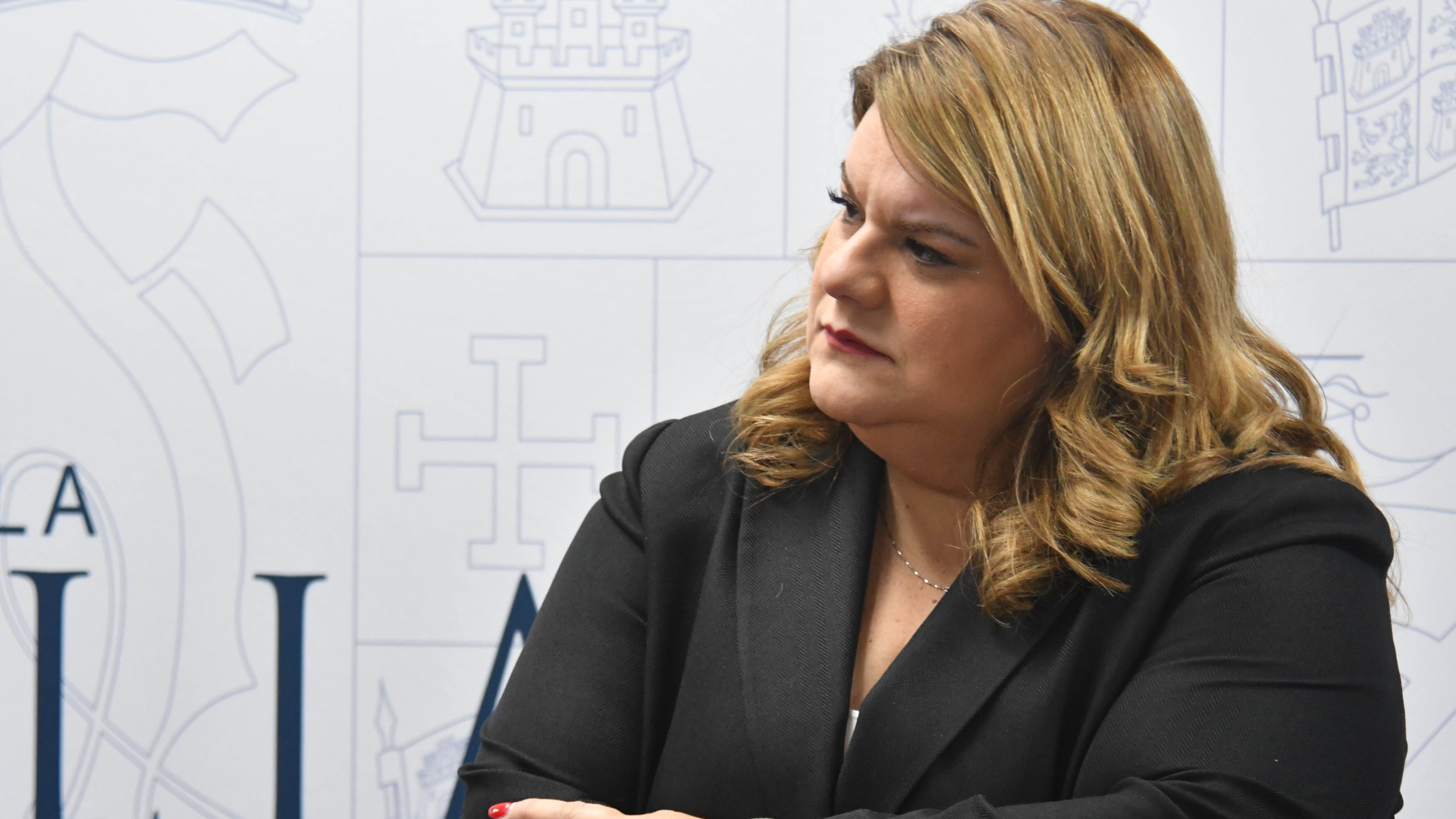 La  gobernadora Jennifer Gonzalez, hace anuncio sobre el nuevo portal en internet para la adopción.