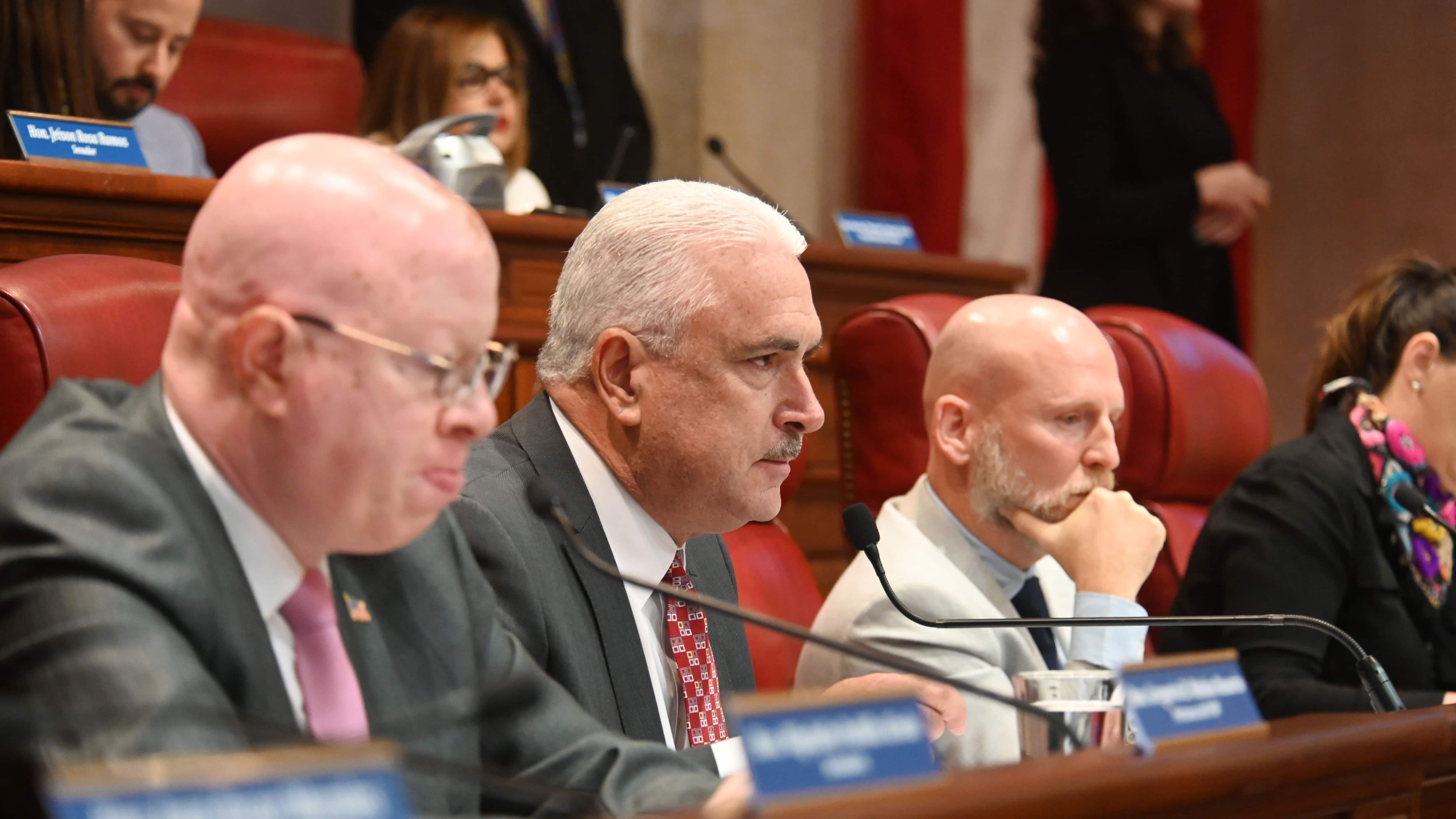 Comisión Total del Senado, para evaluar el nombramiento de Secretaria de Estado a la Lic. Véronica Ferraiuolo Horned