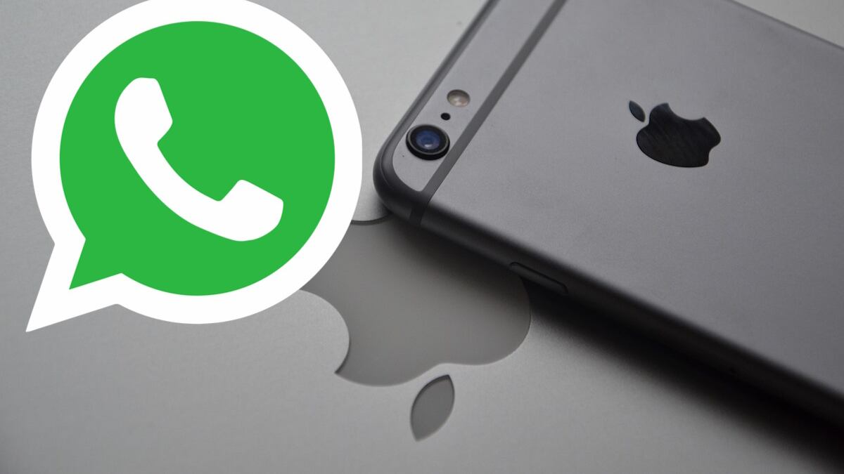 En algunos modelos de iPhone no funcionará la app. (Pixabay)