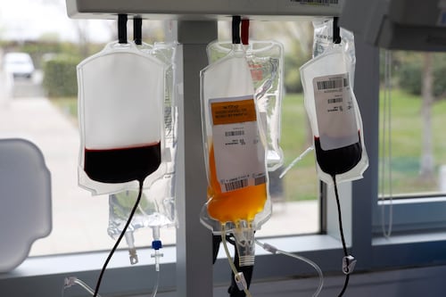 Australia amplía criterios para donar sangre e incluye a más personas LGTBI+