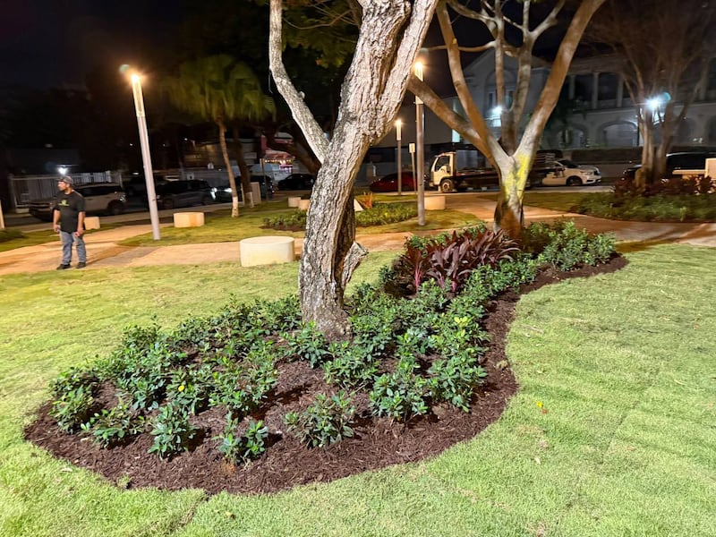 Plaza Rafael Cordero en Santurce recibe mejoras estructurales y paisajistas.
