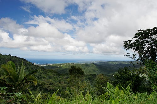 Anticipan temperaturas calurosas y la llegada de un frente frío este sábado de San Valentín