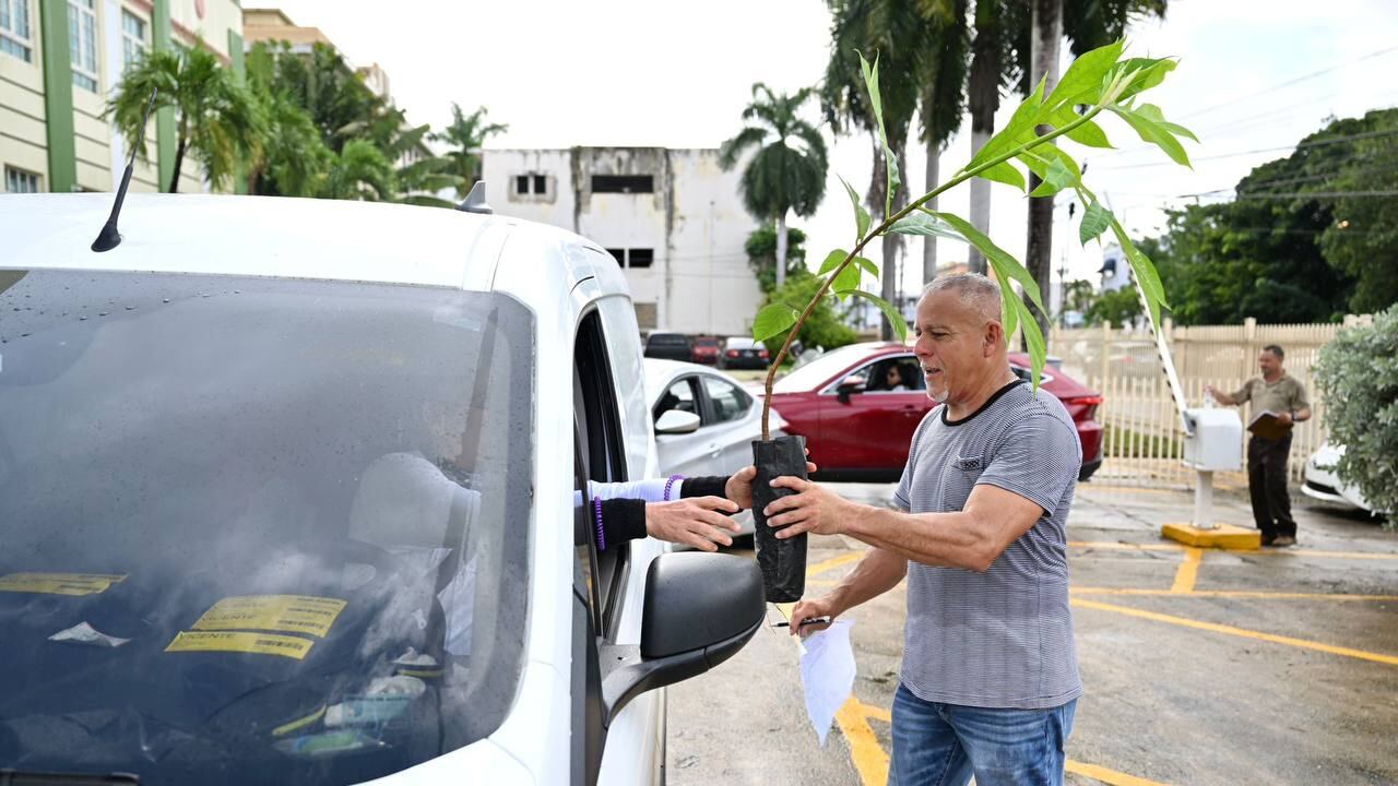 entrega de más de mil árboles frutales en Puerto Rico