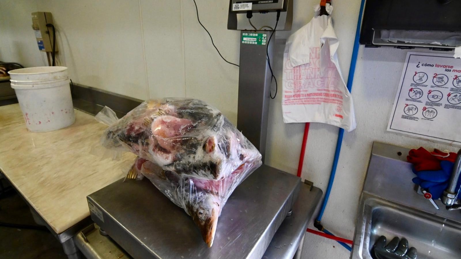 DACO inspecciona pescaderías y supermercados por Semana Santa.