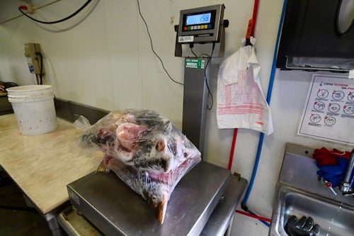 Operativo especial: DACO inspecciona pescaderías y supermercados por Semana Santa