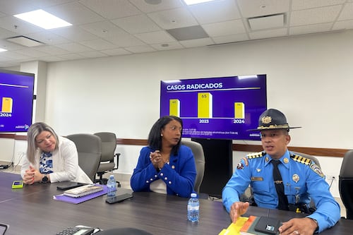 Aseguran que casos de Hit and Run están por “buen camino”