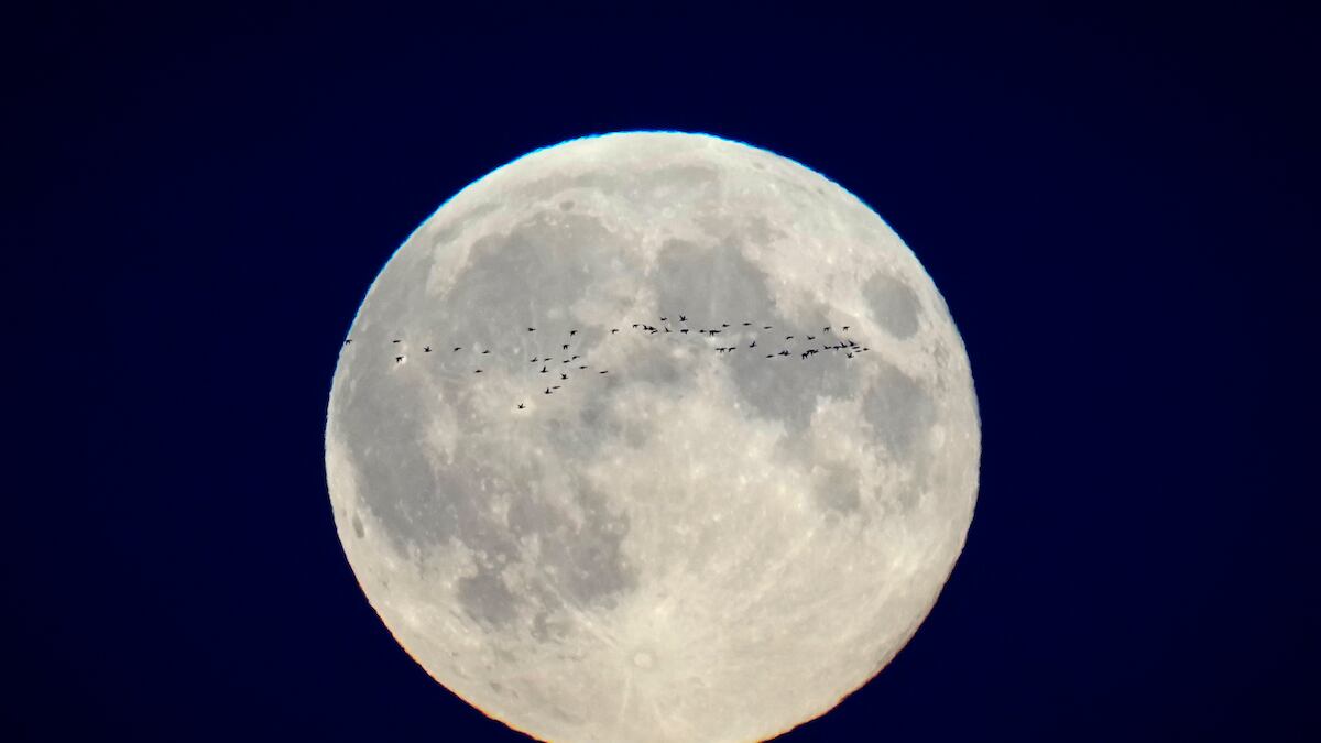 Superluna de octubre deslumbra al mundo