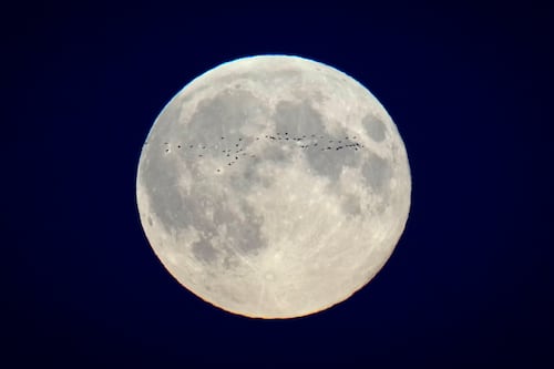 ¿Cuándo y a qué hora se podrá ver la Super Luna en Puerto Rico?