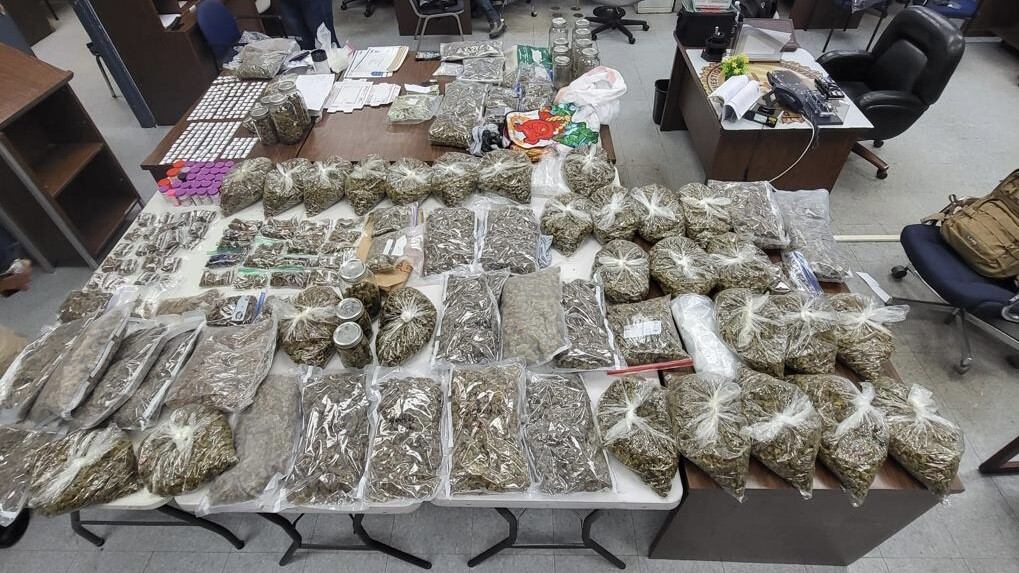Policía arresta a dos personas y ocupan gran cantidad de marihuana en medio de allanamiento en Dorado.