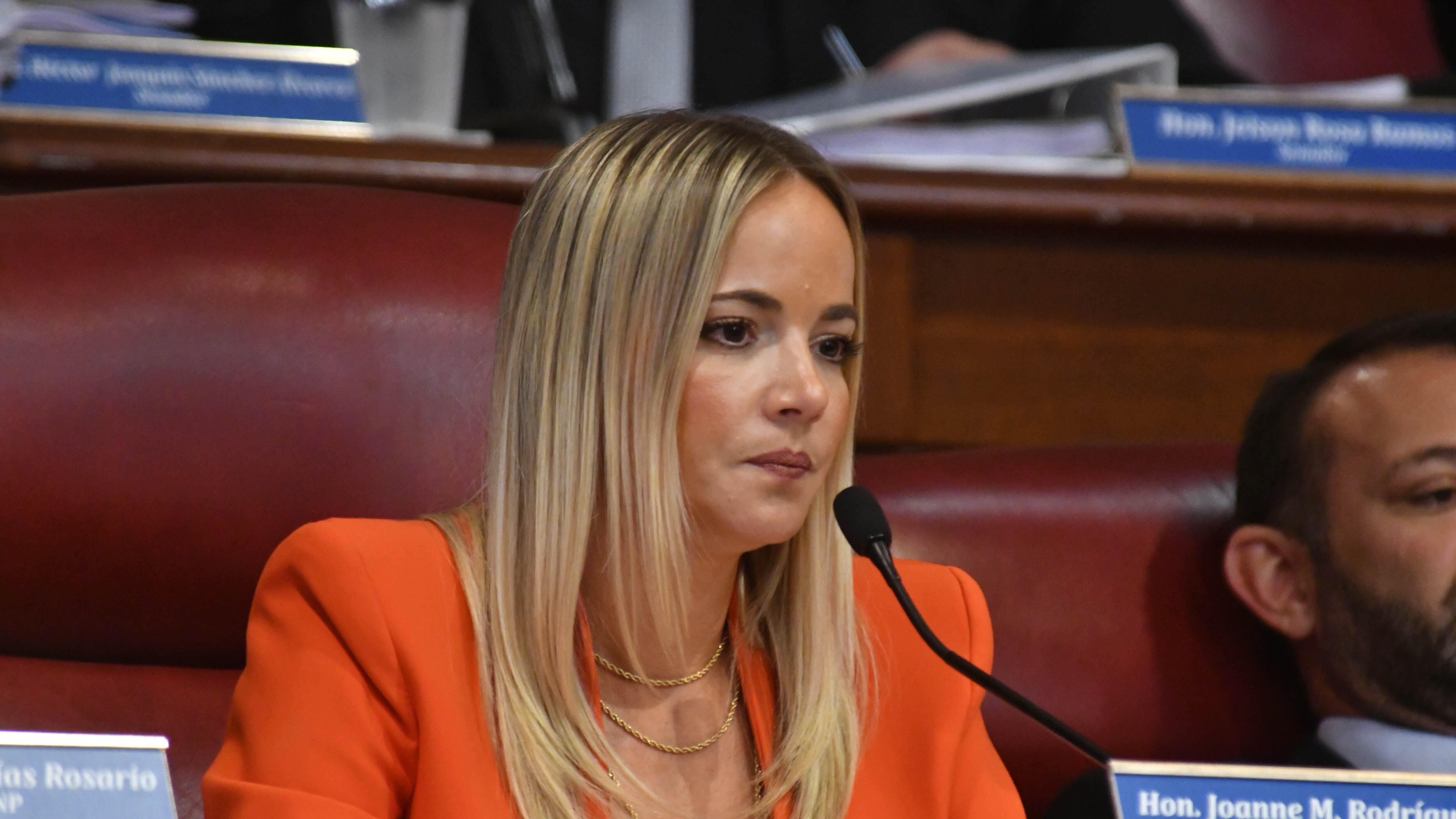 La Senadora Joanne Rodríguez Veve.