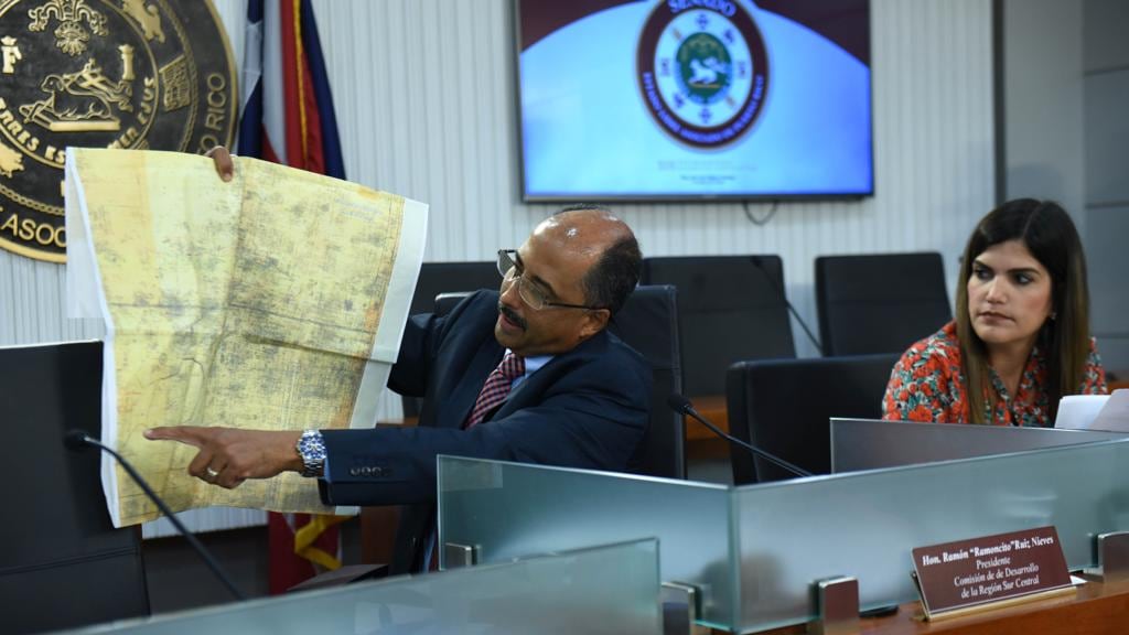 Senador Ramón Ruíz Nieves